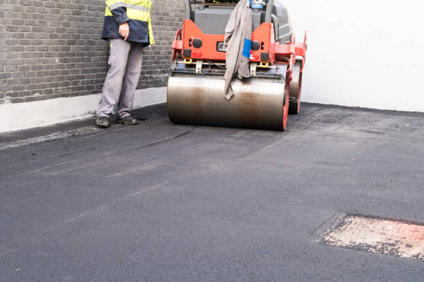 Best Decorative Concrete Driveways  in Hardeeville, SC